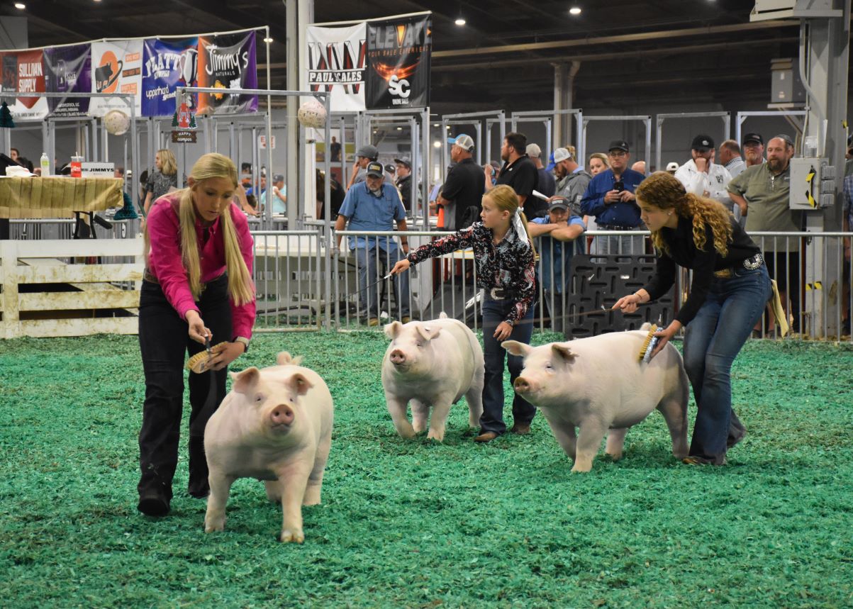 Donβt Get Left Behind: How to Keep Your Pig (and Your Showman) Healthy